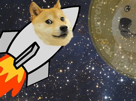 Shiba Inu Made Famous By Viral ‘doge Meme Dies After Cancer Battle