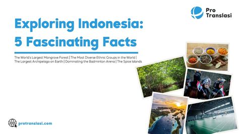 English To Indonesian Translator Exploring Indonesia Fascinating Facts