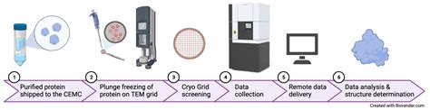 Cryo Electron Microscopy Direct Electron Detector Service