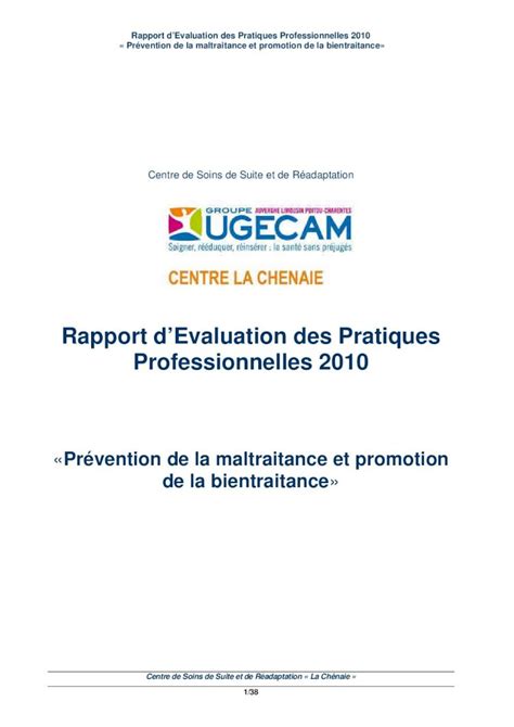 PDF Rapport DEvaluation Des Pratiques Professionnelles 2010 1er