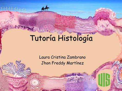 PDF HISTOLOGIA EPITELIO Y GLANDULAS DOKUMEN TIPS