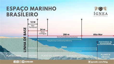 Ao Longo Da Hist Ria Econ Mica Do Brasil V Rios Projetos Braincp