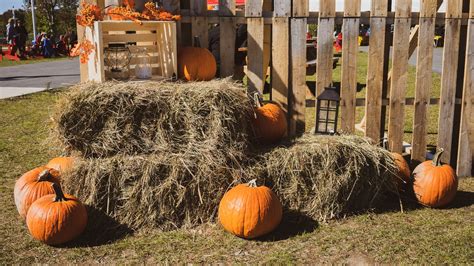 Appel de photo montrez nous vos décorations d Halloween