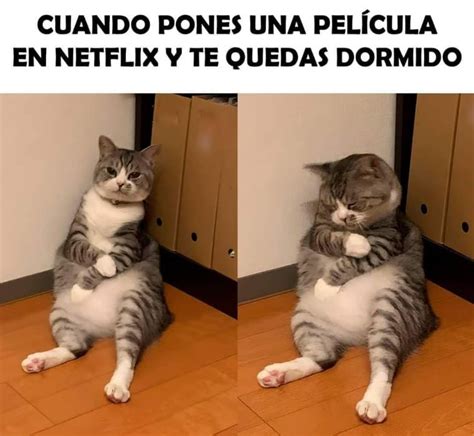 Cuando Pones Una Pel Cula En Netflix Y Te Quedas Dormido Memes