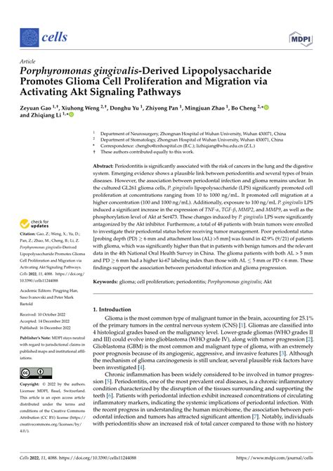 Pdf Porphyromonas Gingivalis Derived Lipopolysaccharide Promotes