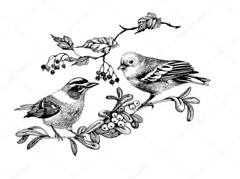 Birds On Twigs Illustration Stock Illustration By ©kostan Proff 81940710