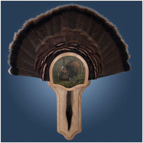 Turkey Fan Mount Template