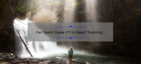 Can Sperm Cause Uti In Males Exploring The Link Between Ejaculation