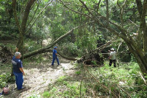 Parque Que Teve Rvores Derrubadas Pelo Temporal Reabre Neste