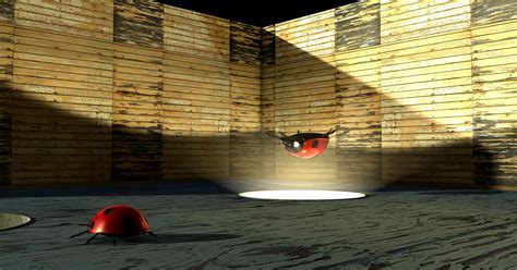 Ladybugs on Behance