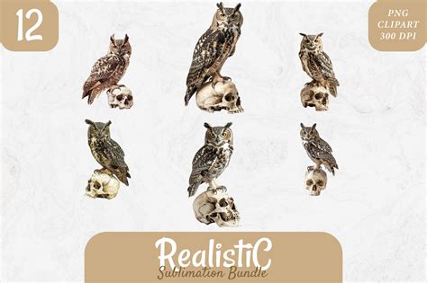 Tufted Owl Graphic By Imaginiac · Creative Fabrica