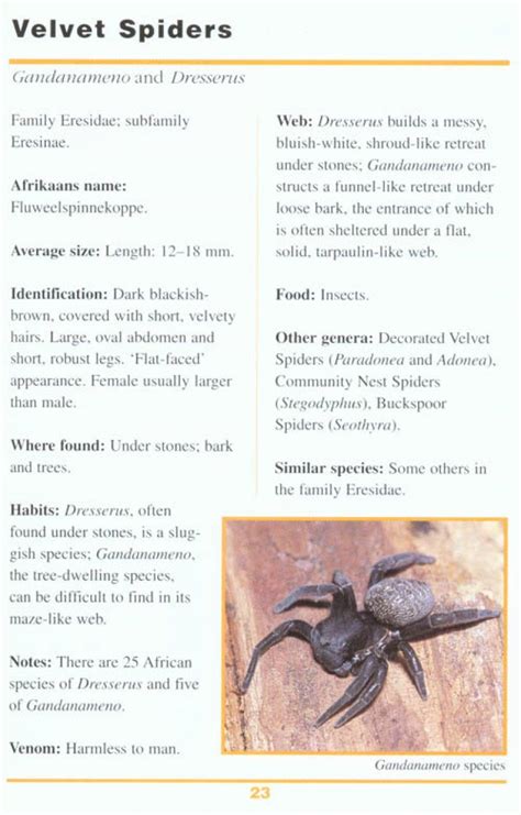 First Field Guide To Spiders Scorpions Of Southern Africa Nhbs