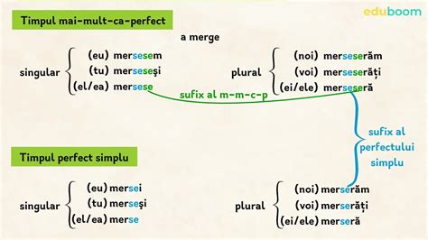 eladó fedő dísz modul plural törzs Ég Uralom