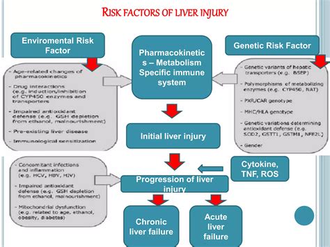 Drug Induced Liver Injury Dili And Hepatotoxicity Ppt