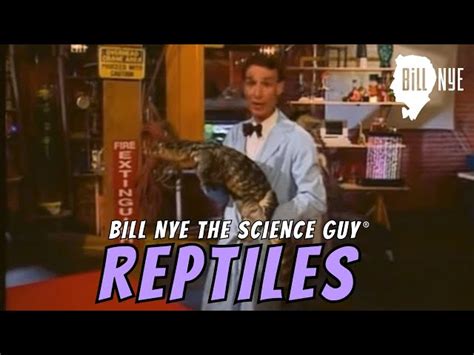 Reptiles: Interesting Facts and Characteristics | SchoolTube