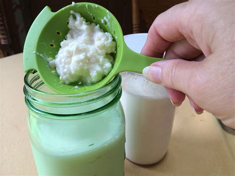 What is Kefir? | Cultured Food Life