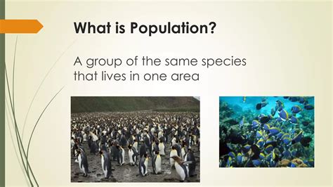 Population Ecology Notes | PPT