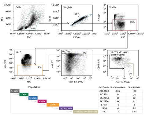 Flow Cytometry Of Mouse Hematopoietic Stem Cells Beyond Lsk