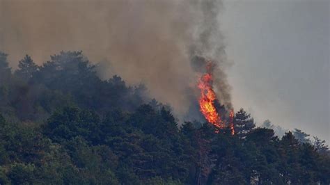 Nuovo Incendio Sul Carso Alle Spalle Di Monfalcone Il Piccolo