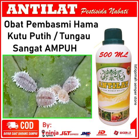 Jual Antilat Obat Pembasmi Hama Tanaman Sangat Ampuh Obat Hama