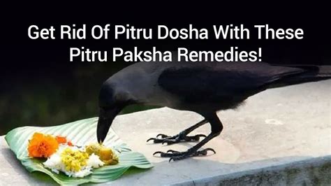 Confused About Pitru Paksha Date? Read Here For Correct Date & Shraadh ...