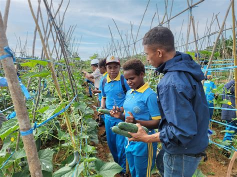 Kebun Percontohan TSE Group Jadi Lokasi Agrowisata Siswa Sekolah Dasar