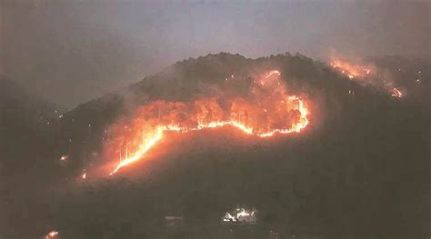 Districts In India Affected By Forest Fires Each Year Report