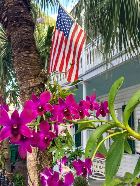 12 Fun And Festive Things To Do In Key West In December