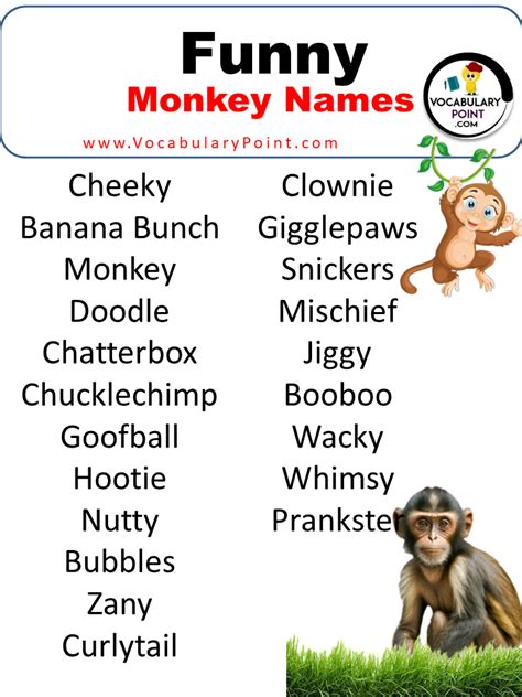 600 + Funny Monkey Names (Famous, Pet, Male & Female) - Vocabulary Point