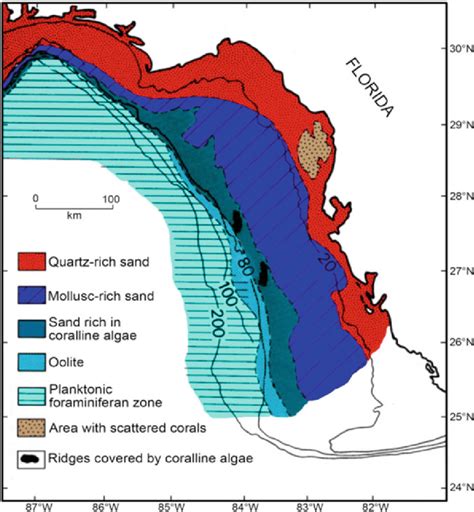 20 General Map Of The Surface Sediment Facies On The West Florida