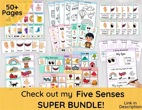 Five Senses Sorting Activity Printable Preschool Five Senses For