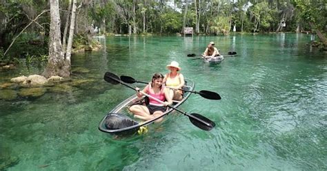 All Clear Kayak Manatee Viewing Tour | Crystal River Water Bikes