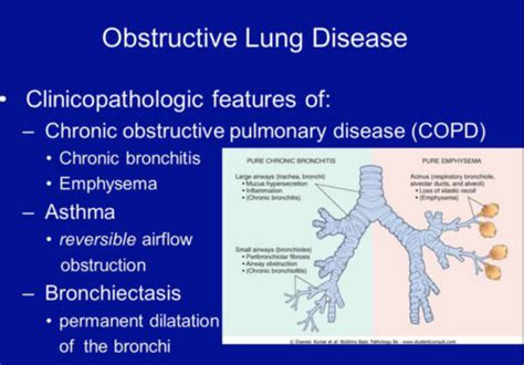 Resp Obstructive Lung Disease GUO JCN Flashcards Quizlet