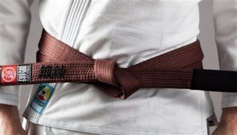 BJJ Brown Belt Requirements And Curriculum - BJJ World