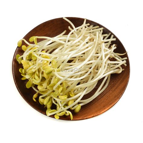 Soybean Sprouts On A Plate Picture And HD Photos | Free Download On Lovepik