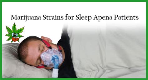 Top Cannabis Strains For Sleep Apnea