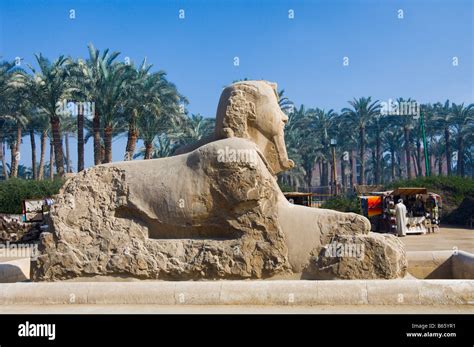 The Alabaster Sphinx At The Historic Site Of Memphis Egypt Stock Photo