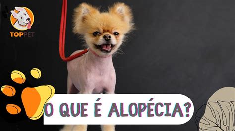 Alop Cia Em Spitz Youtube