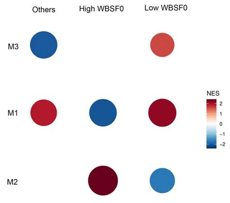 Genes Free Full Text Differential Allele Specific Expression Revealed Functional Variants