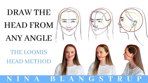 How To Draw The Head From Any Angle The Loomis Head Method Youtube