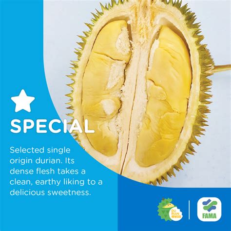 20 Must-Try Durians In Malaysia - DurianBB Malaysia