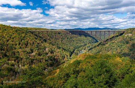 New River Gorge Hiking Trails