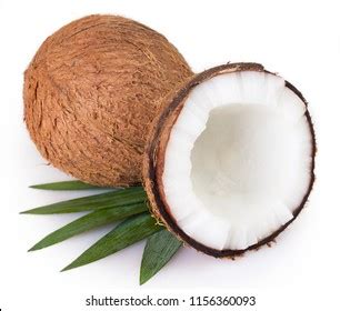 Coconut Leaves On White Background Stock Photo 74830831 Shutterstock