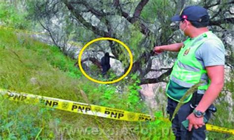 Encuentran A Mujer Colgada De Un Árbol Diario Expresión