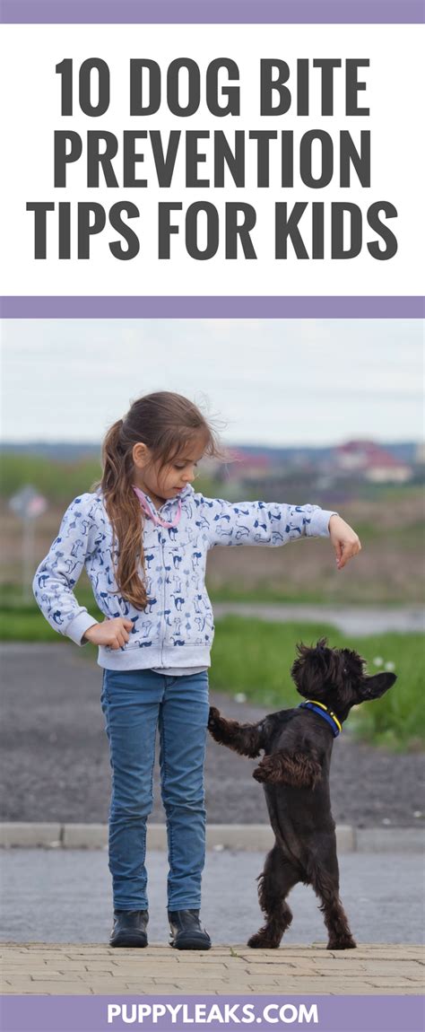 10 Dog Bite Prevention Tips For Kids Puppy Leaks