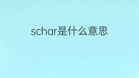 Schar是什么意思 Schar的翻译、中文解释 下午有课