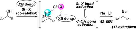 通过卤素键通过six键活化，醇与有机硅烷的直接脱羟基偶联反应organic Letters X Mol