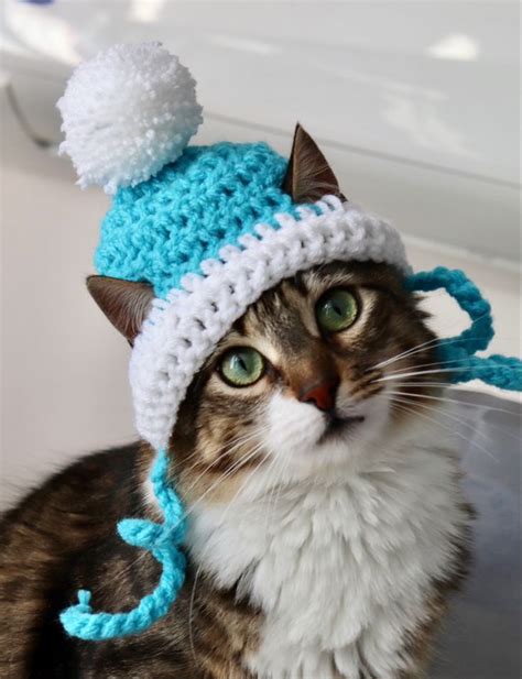 Beanie Hat For Cats Kat Haken Kat Accessoires Hoed Gehaakt
