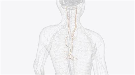 Vagus Nerve Stimulation Improves Perceptual Learning In Mice