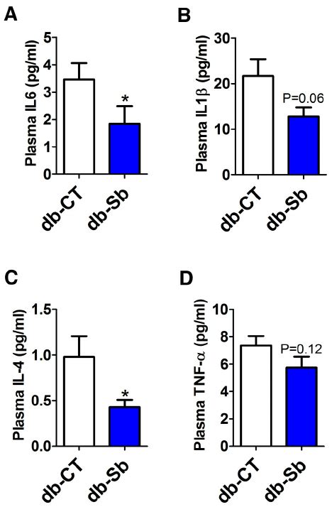 S Boulardii Administration Reduces Liver Weight Hepatic Steatosis